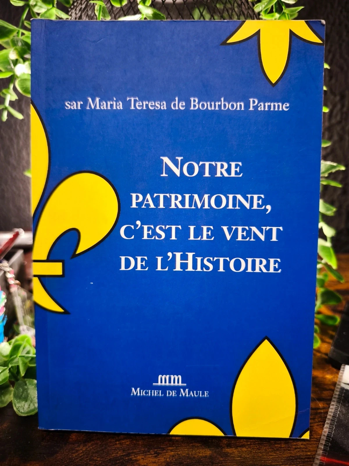 Notre patrimoine, c'est le vent de l'histoire